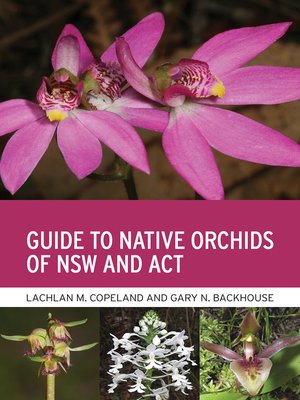 cover image of Guide to Native Orchids of NSW and ACT